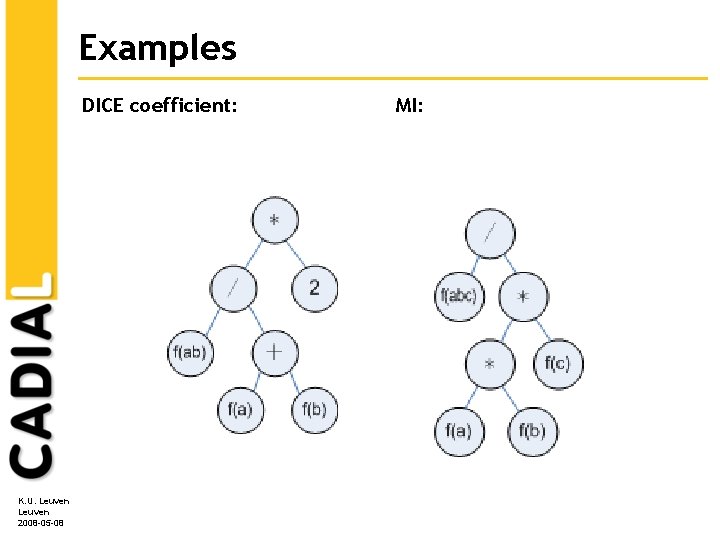Examples DICE coefficient: K. U. Leuven 2008 -05 -08 MI: 