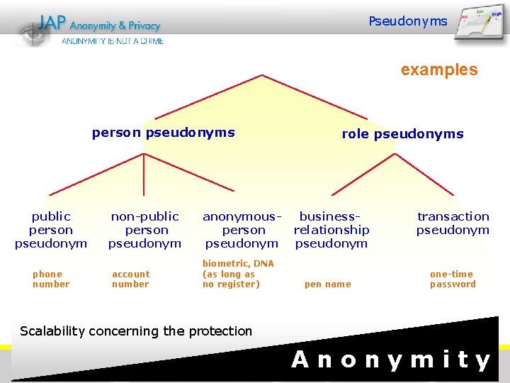 Pseudonyms examples person pseudonyms public person pseudonym phone number non-public person pseudonym account number