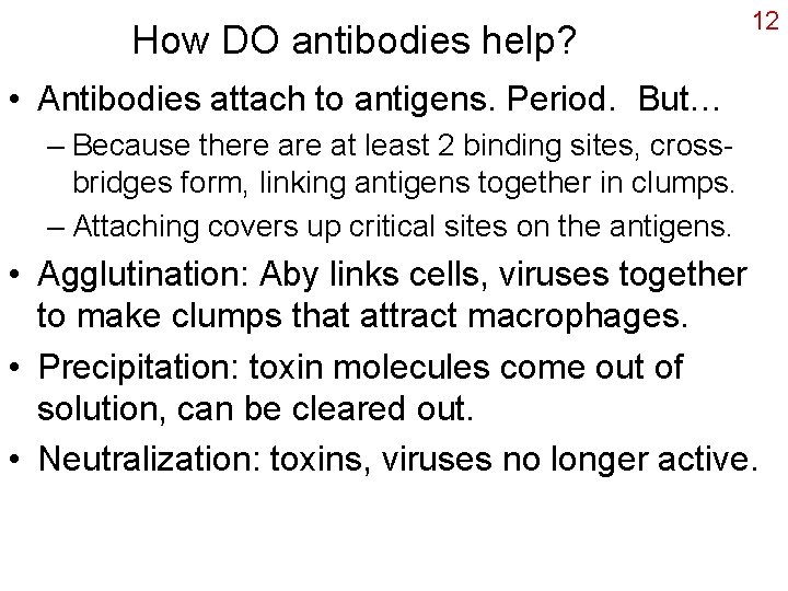 How DO antibodies help? 12 • Antibodies attach to antigens. Period. But… – Because
