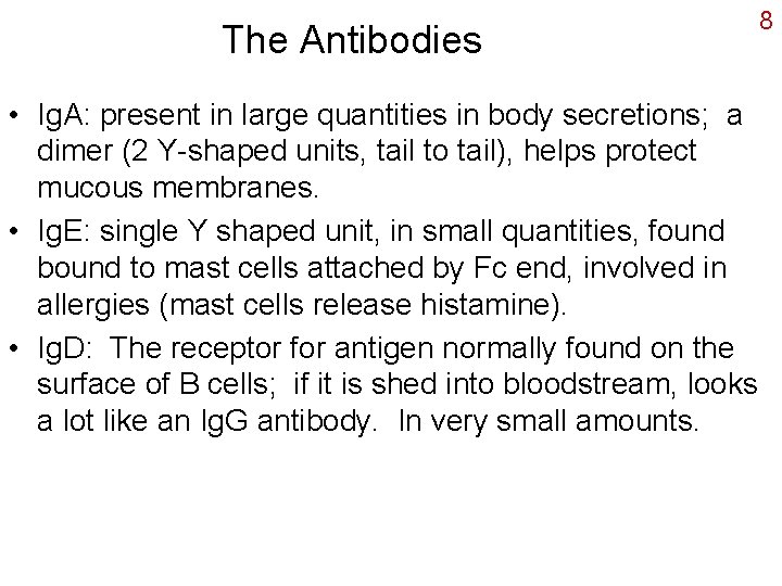 The Antibodies • Ig. A: present in large quantities in body secretions; a dimer