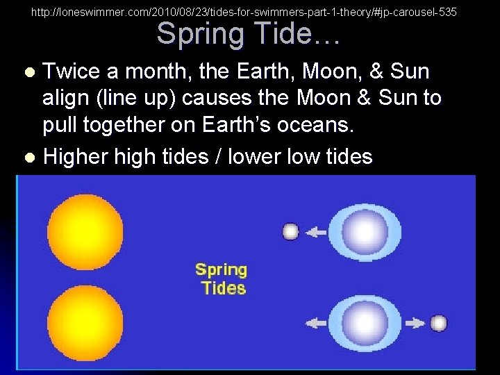 http: //loneswimmer. com/2010/08/23/tides-for-swimmers-part-1 -theory/#jp-carousel-535 Spring Tide… Twice a month, the Earth, Moon, & Sun