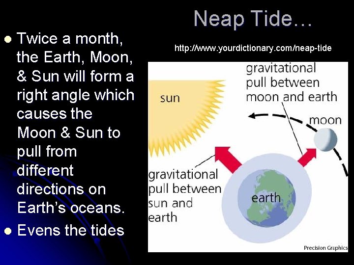 Twice a month, the Earth, Moon, & Sun will form a right angle which
