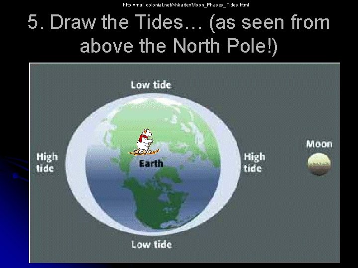 http: //mail. colonial. net/~hkaiter/Moon_Phases_Tides. html 5. Draw the Tides… (as seen from above the