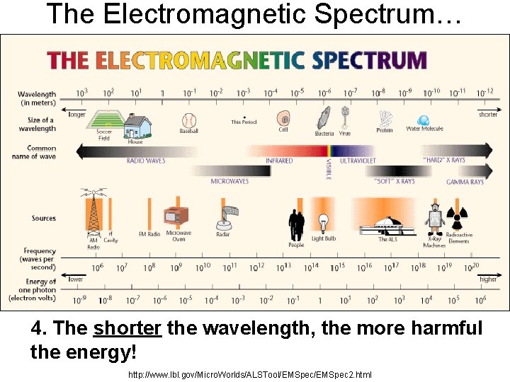The Electromagnetic Spectrum… 4. The shorter the wavelength, the more harmful the energy! http:
