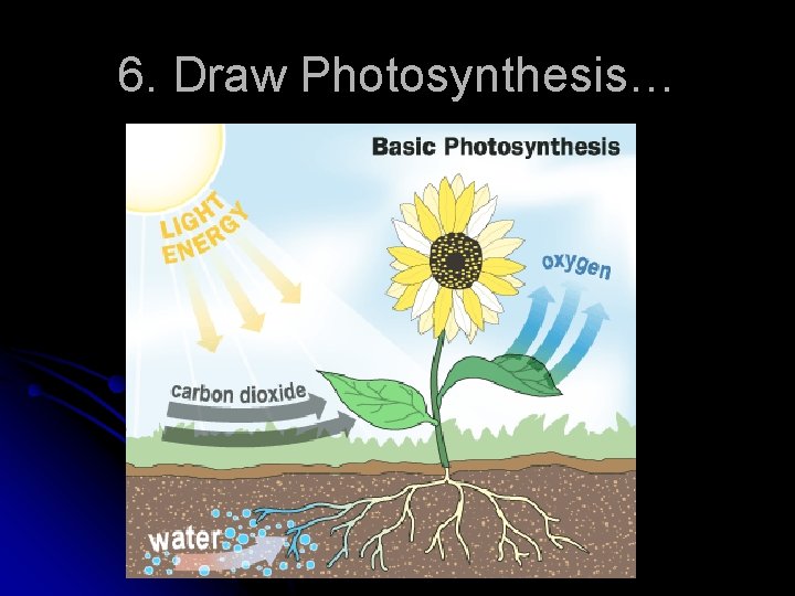 6. Draw Photosynthesis… 