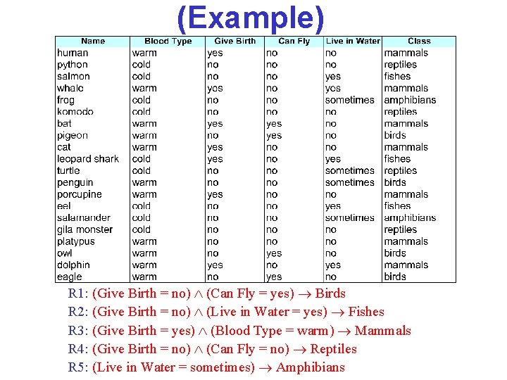 (Example) R 1: (Give Birth = no) (Can Fly = yes) Birds R 2: (Example) R 1: (Give Birth = no) (Can Fly = yes) Birds R 2:
