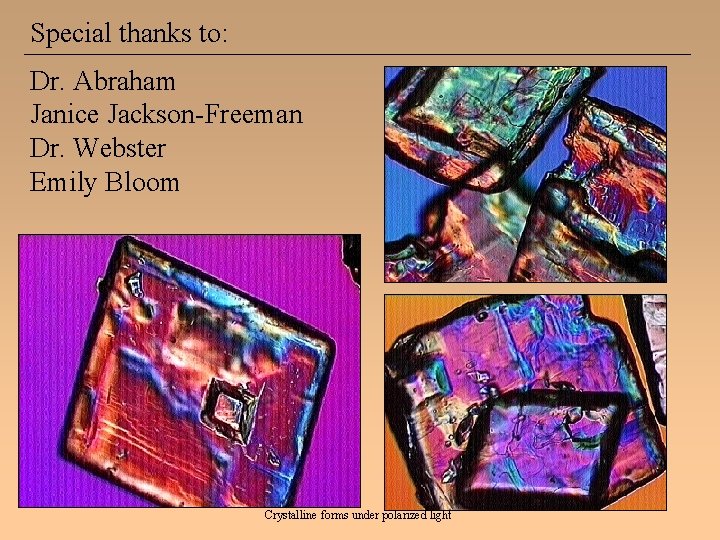 Special thanks to: Dr. Abraham Janice Jackson-Freeman Dr. Webster Emily Bloom Crystalline forms under