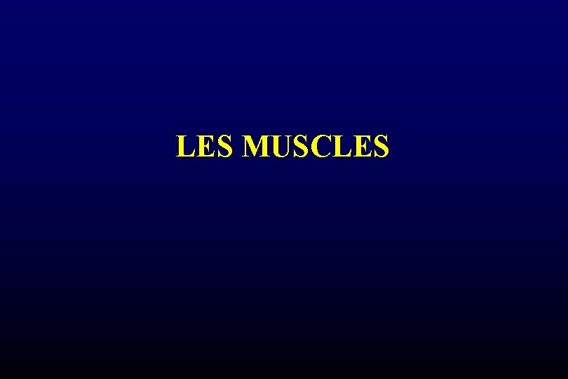 LES MUSCLES 