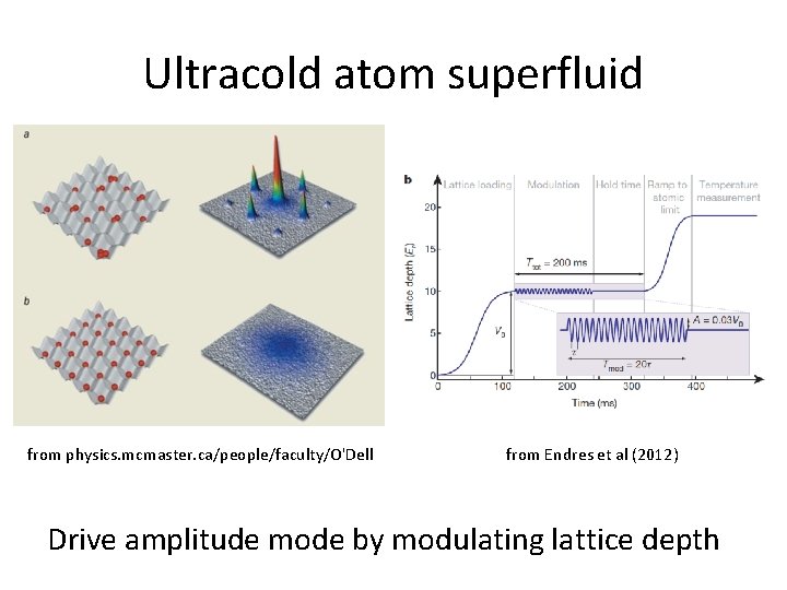 Ultracold atom superfluid from physics. mcmaster. ca/people/faculty/O'Dell from Endres et al (2012) Drive amplitude