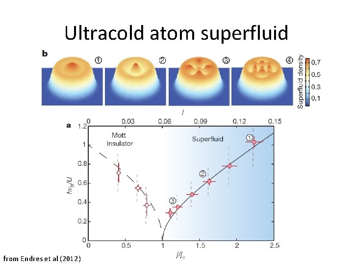 Ultracold atom superfluid from Endres et al (2012) 