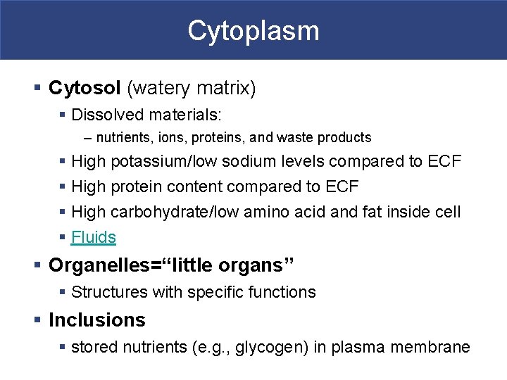 Cytoplasm § Cytosol (watery matrix) § Dissolved materials: – nutrients, ions, proteins, and waste