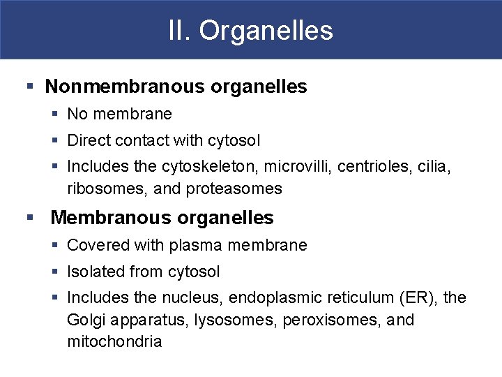 II. Organelles § Nonmembranous organelles § No membrane § Direct contact with cytosol §