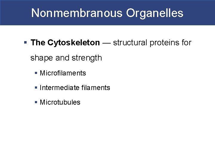 Nonmembranous Organelles § The Cytoskeleton — structural proteins for shape and strength § Microfilaments