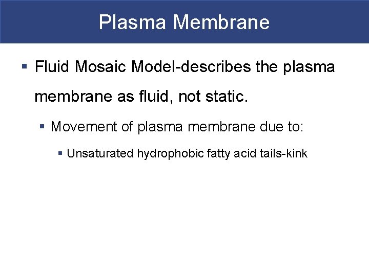 Plasma Membrane § Fluid Mosaic Model-describes the plasma membrane as fluid, not static. §