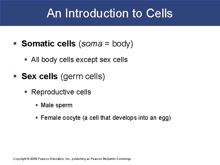 An Introduction to Cells § Somatic cells (soma = body) § All body cells