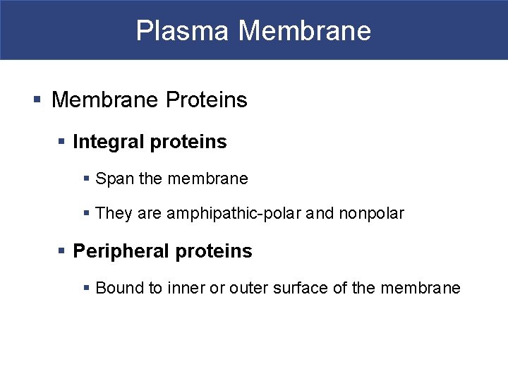 Plasma Membrane § Membrane Proteins § Integral proteins § Span the membrane § They