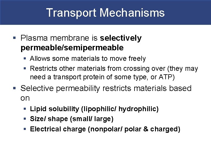 Transport Mechanisms § Plasma membrane is selectively permeable/semipermeable § Allows some materials to move