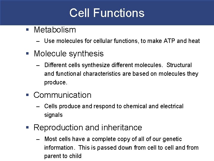 Cell Functions § Metabolism – Use molecules for cellular functions, to make ATP and