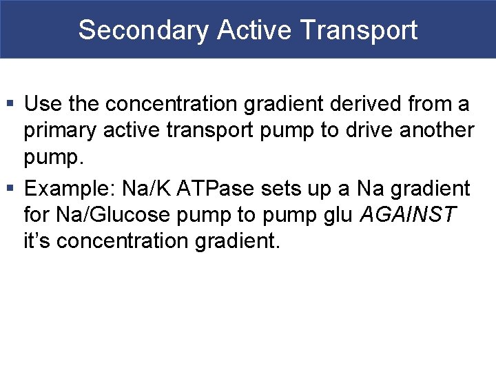 Secondary Active Transport § Use the concentration gradient derived from a primary active transport