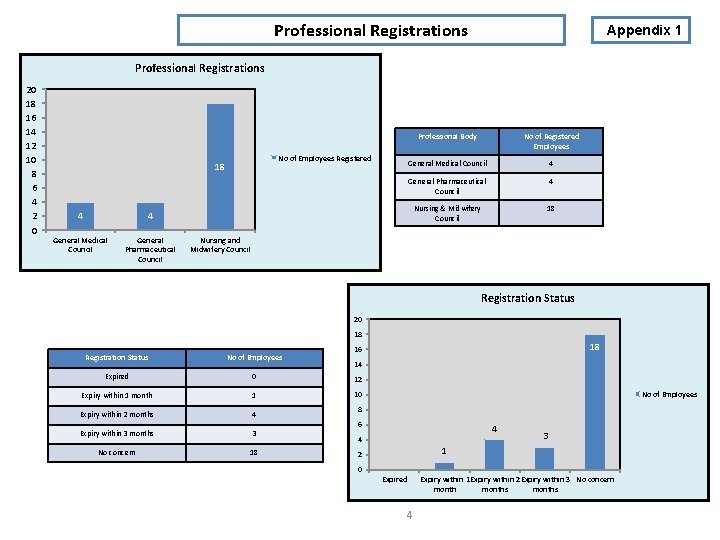 Professional Registrations Appendix 1 Professional Registrations 20 18 16 14 12 10 8 6