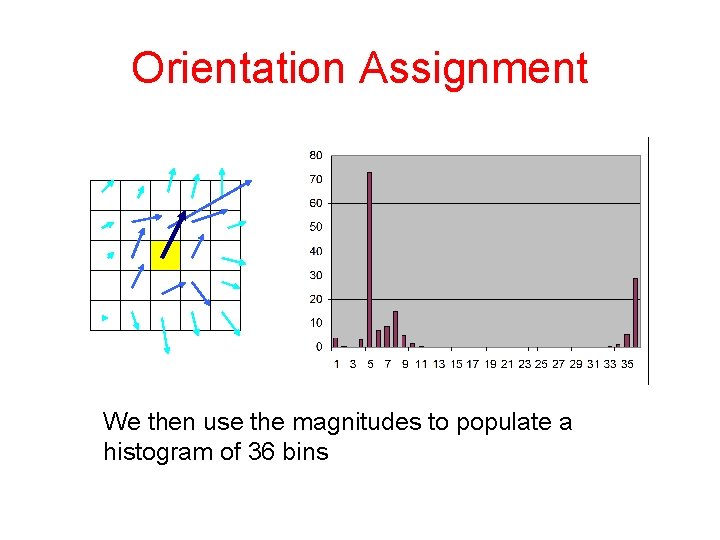 Orientation Assignment We then use the magnitudes to populate a histogram of 36 bins