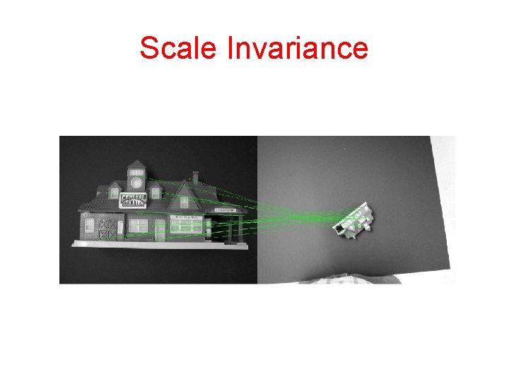Scale Invariance 