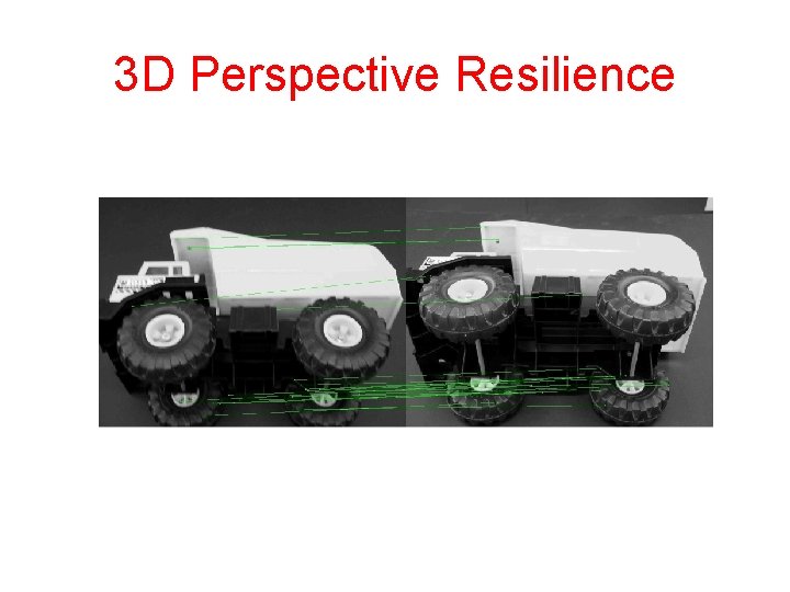 3 D Perspective Resilience 