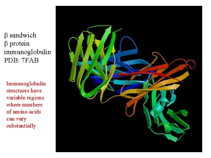 sandwich protein immunoglobulin PDB: 7 FAB Immunoglobulin structures have variable regions where numbers sandwich protein immunoglobulin PDB: 7 FAB Immunoglobulin structures have variable regions where numbers