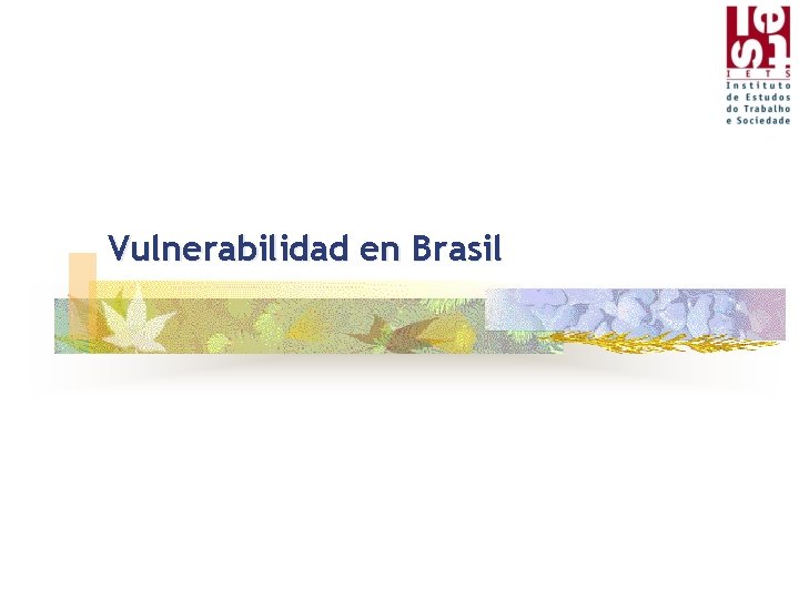 Vulnerabilidad en Brasil 