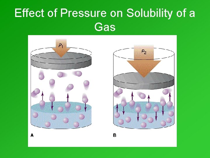 Effect of Pressure on Solubility of a Gas Effect of Pressure on Solubility of a Gas