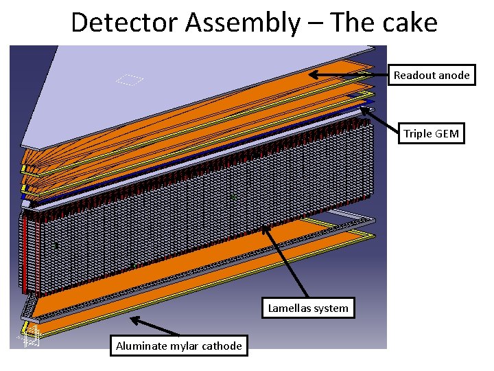 Detector Assembly – The cake Readout anode Triple GEM Lamellas system Aluminate mylar cathode