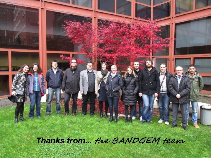 Thanks from. . . the BANDGEM team 