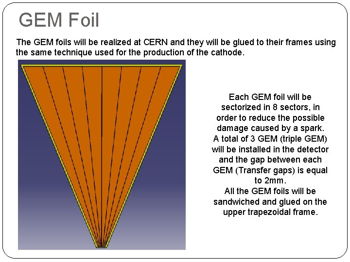 GEM Foil The GEM foils will be realized at CERN and they will be