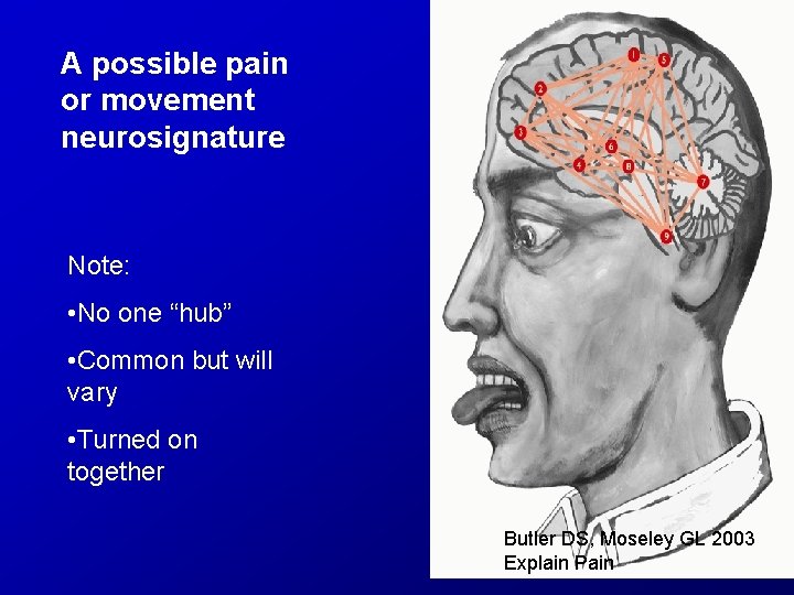 A possible pain or movement neurosignature Note: • No one “hub” • Common but