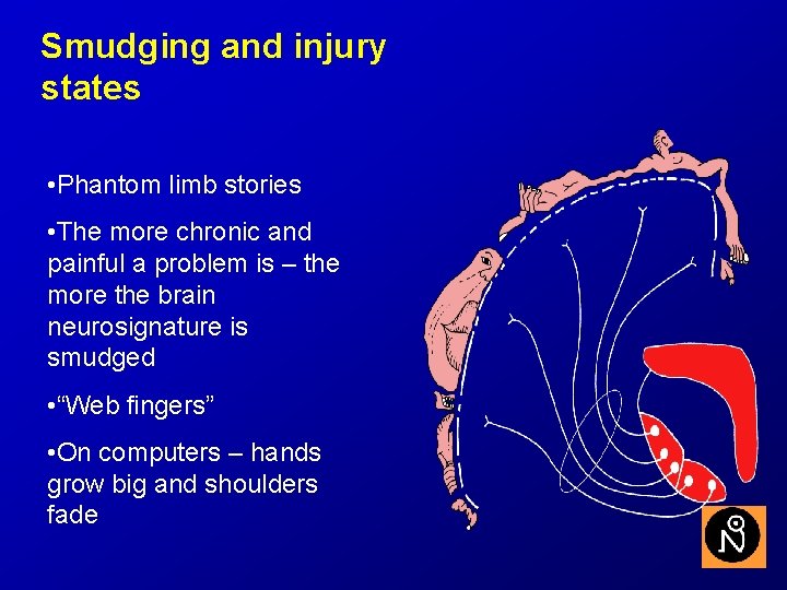 Smudging and injury states • Phantom limb stories • The more chronic and painful