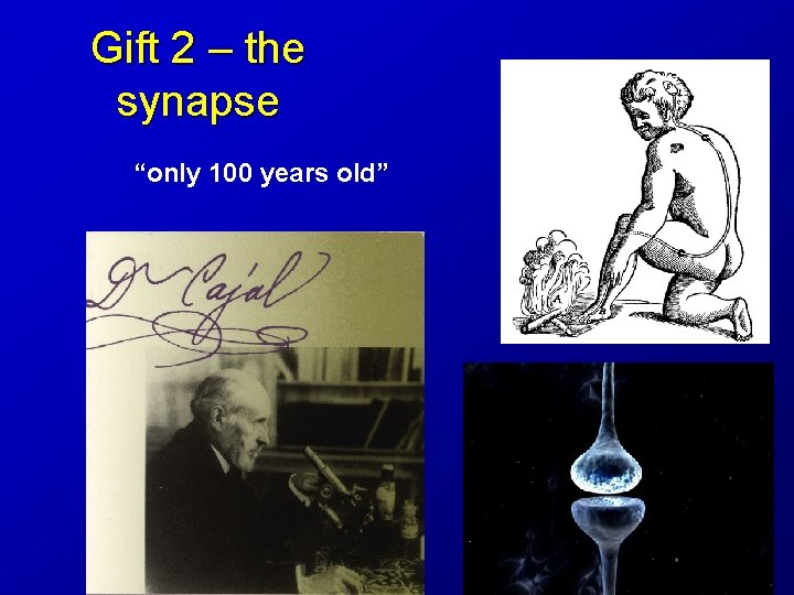 Gift 2 – the synapse “only 100 years old” 