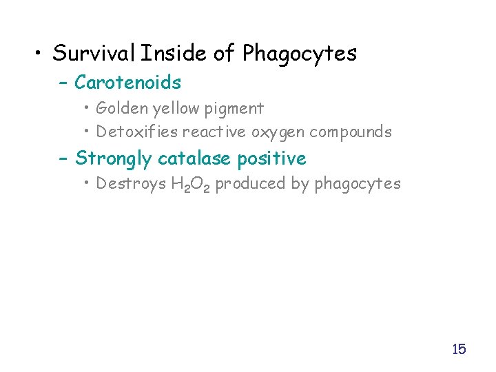 • Survival Inside of Phagocytes – Carotenoids • Golden yellow pigment • Detoxifies