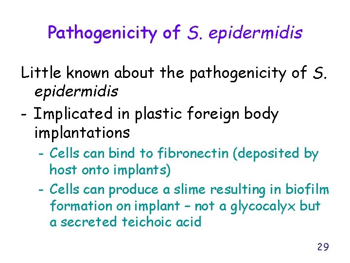 Pathogenicity of S. epidermidis Little known about the pathogenicity of S. epidermidis - Implicated
