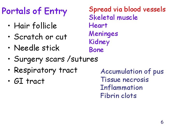 Portals of Entry • • • Spread via blood vessels Skeletal muscle Heart Meninges
