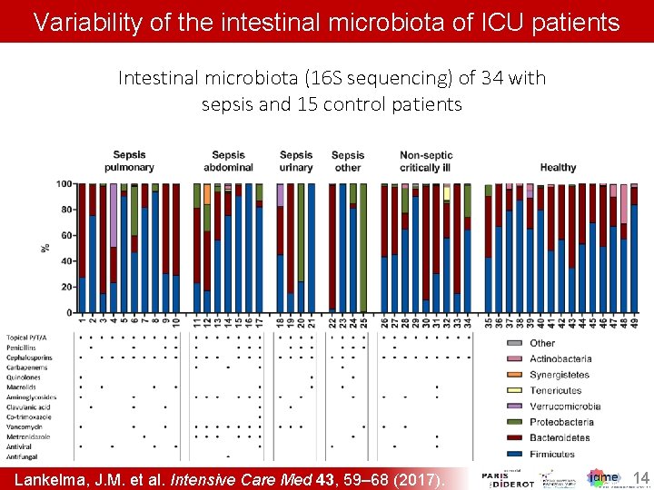 Variability of the intestinal microbiota of ICU patients Intestinal microbiota (16 S sequencing) of