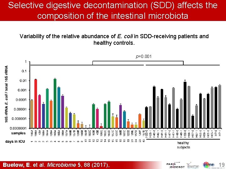 Selective digestive decontamination (SDD) affects the composition of the intestinal microbiota Variability of the