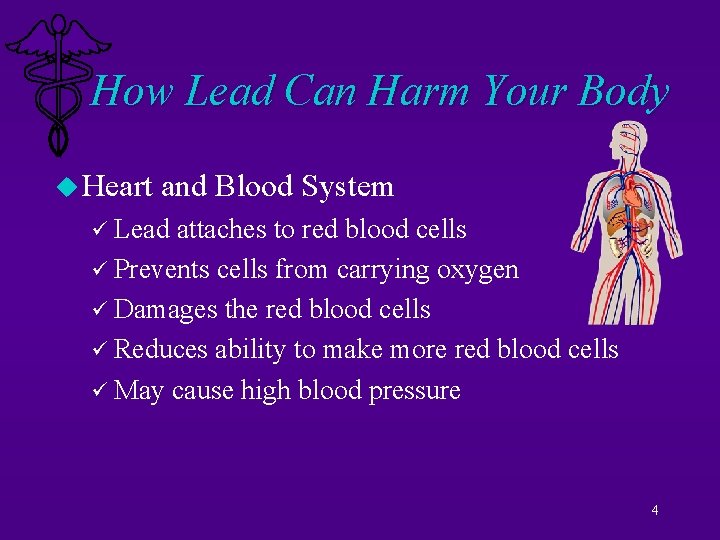 How Lead Can Harm Your Body u Heart and Blood System ü Lead attaches