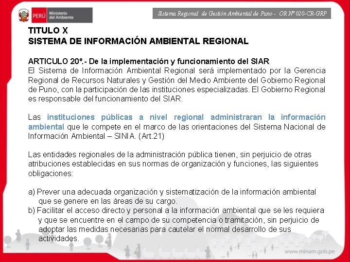 Sistema Regional de Gestión Ambiental de Puno - OR Nº 020 -CR-GRP TITULO X