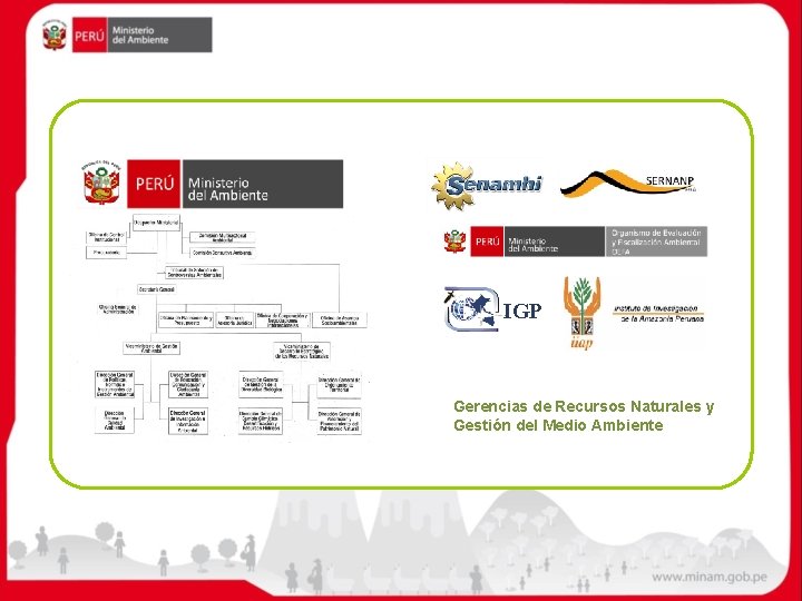 IGP Gerencias de Recursos Naturales y Gestión del Medio Ambiente 