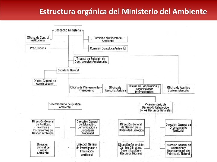 Estructura orgánica del Ministerio del Ambiente 