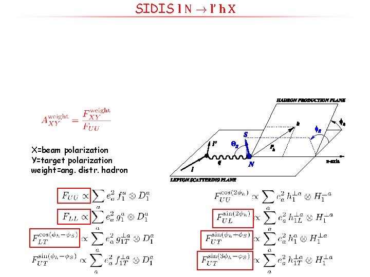 SIDIS l N ! l’ h X X=beam polarization Y=target polarization weight=ang. distr. hadron