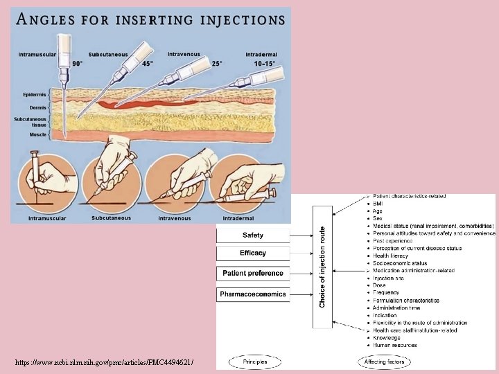 https: //www. ncbi. nlm. nih. gov/pmc/articles/PMC 4494621/ 