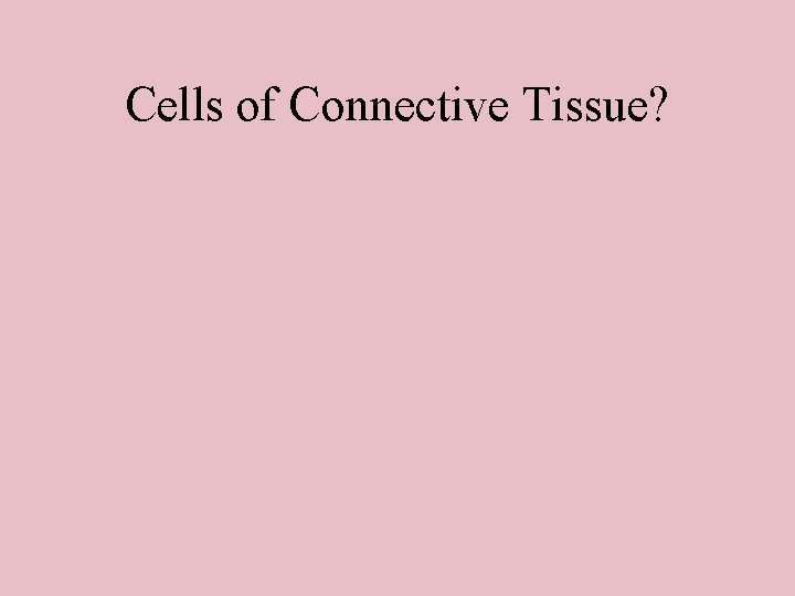 Cells of Connective Tissue? 