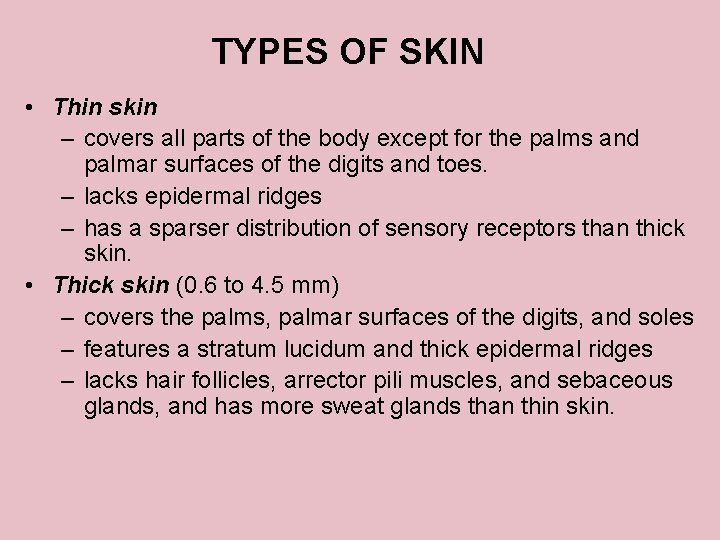 TYPES OF SKIN • Thin skin – covers all parts of the body except
