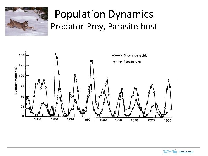 Population Dynamics Predator-Prey, Parasite-host Clemson Hydro 